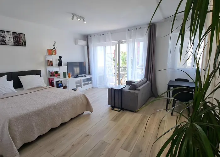Palm Studio